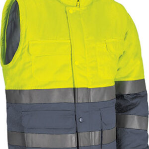 SEQUOIA - 3XL - colores