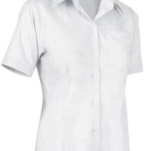 STAR - m/corta adulto - colores