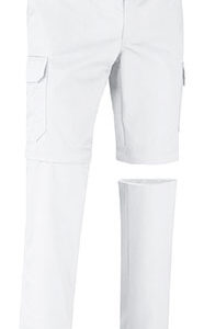 LIVINGSTONE - 3XL - colores